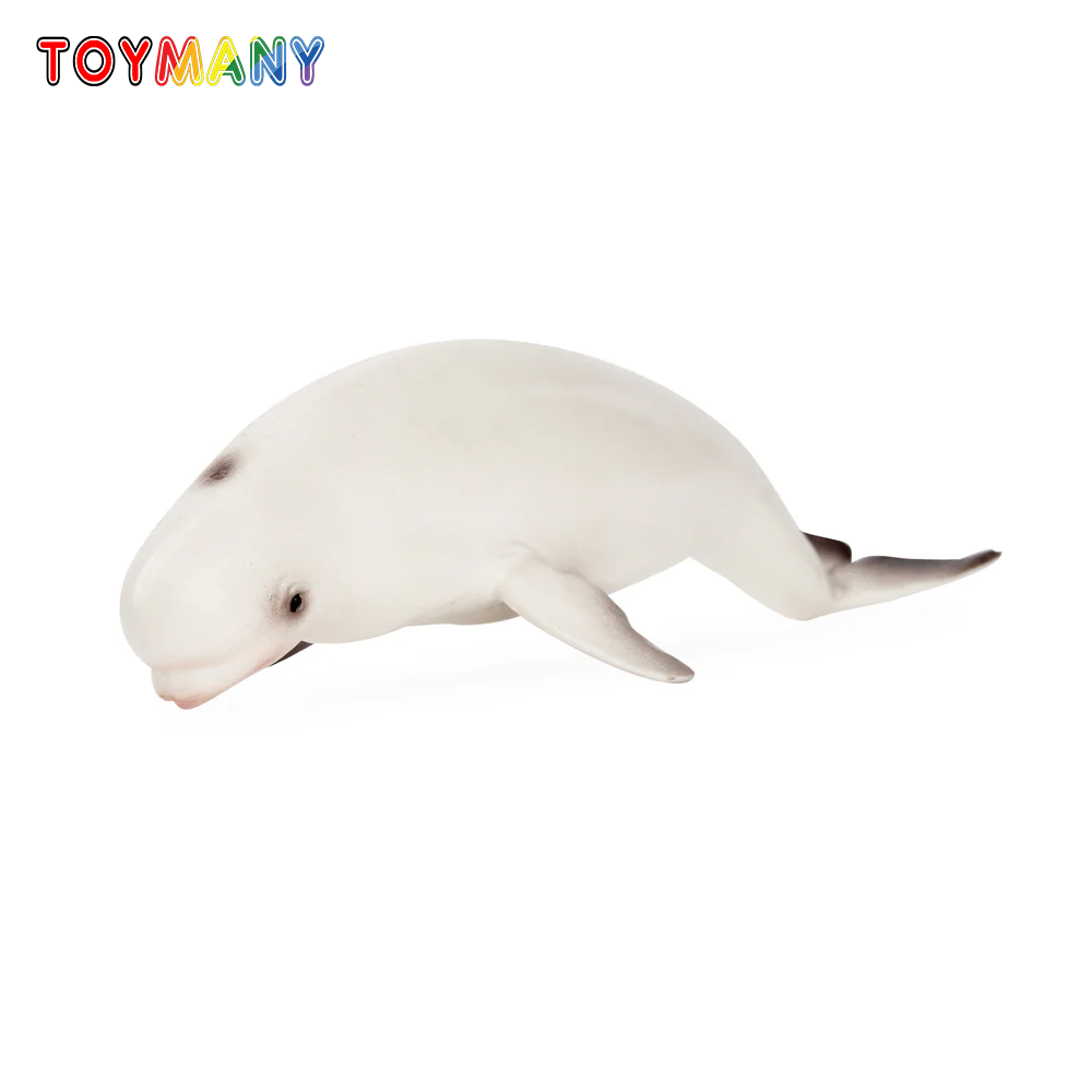 Toymany Simulation Beluga Whal - огляд і ціна Kids Toys Under $5